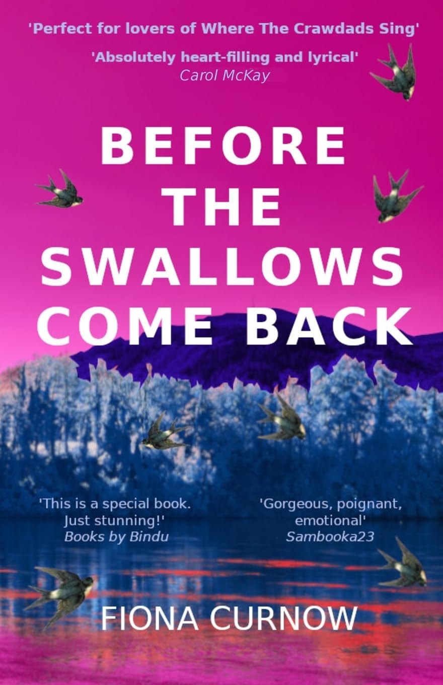 Before The Swallows Come Back
