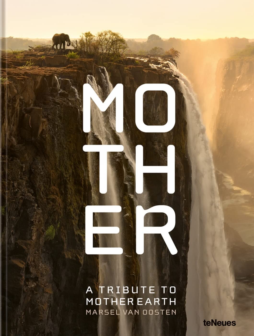 Mother Tribute To Mother Earth
