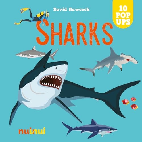 Sharks Pop Up