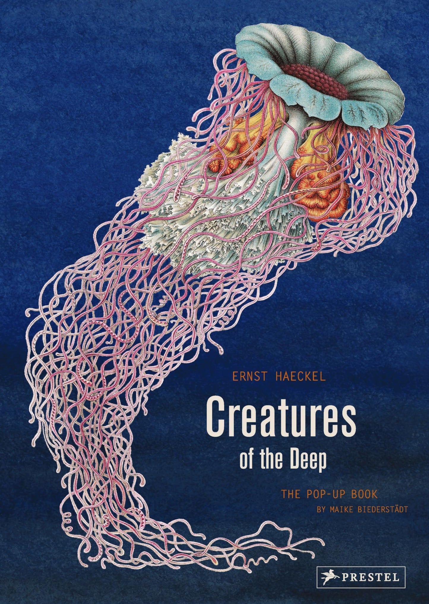 Creatures Of The Deep: The Pop-up B