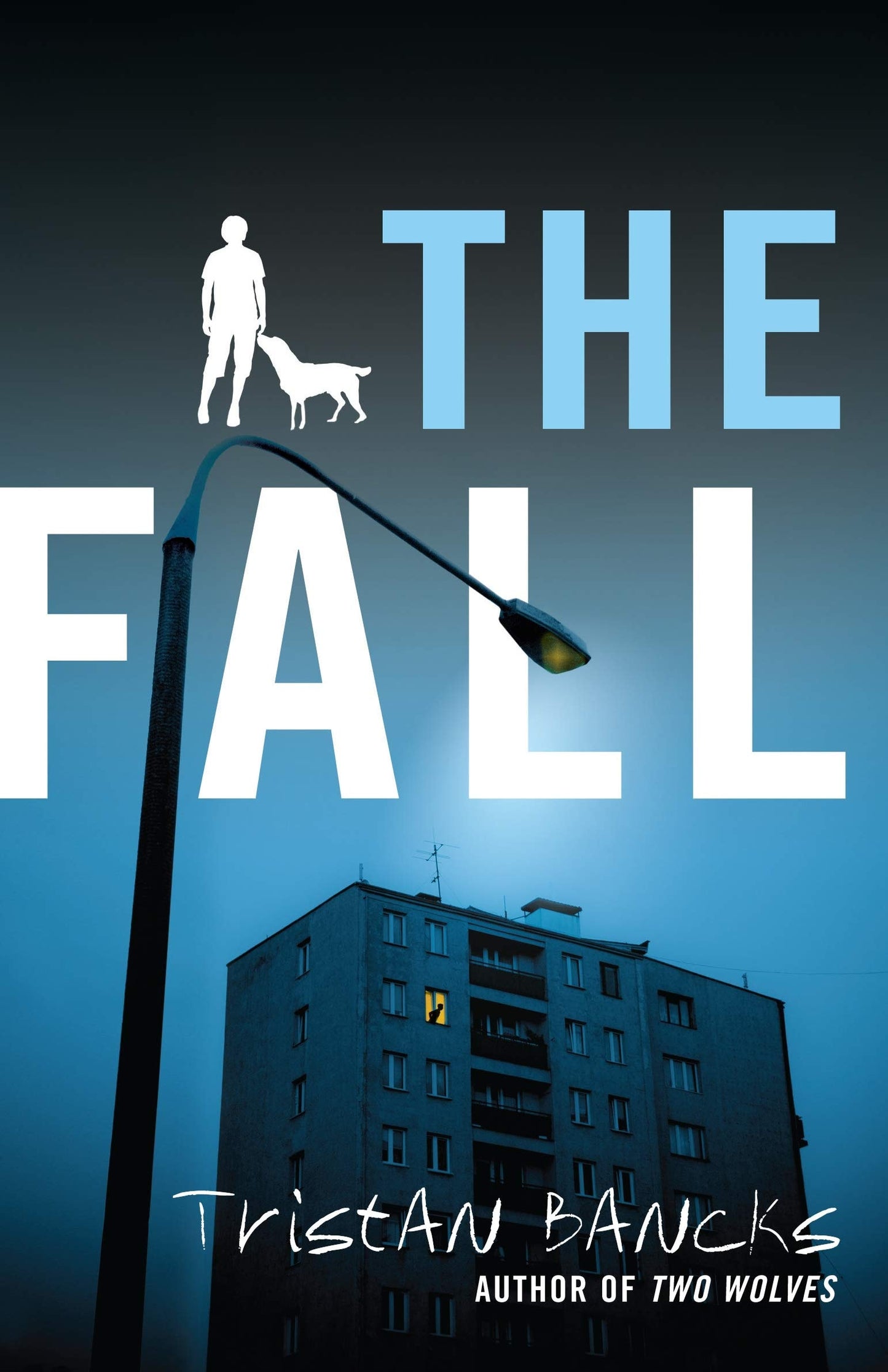 Fall 2