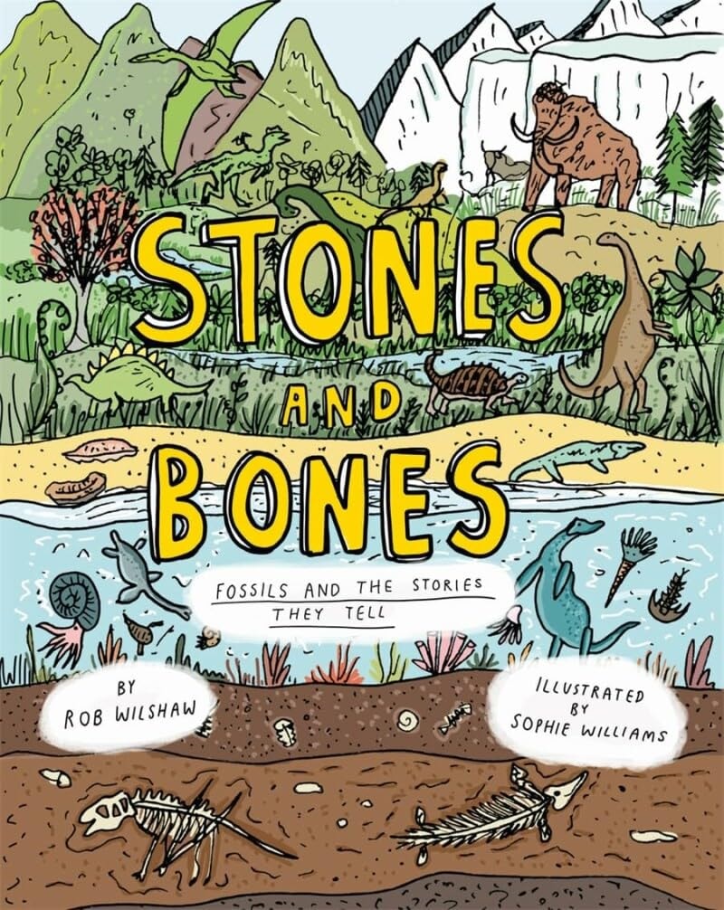 Stones And Bones Fossils And The St