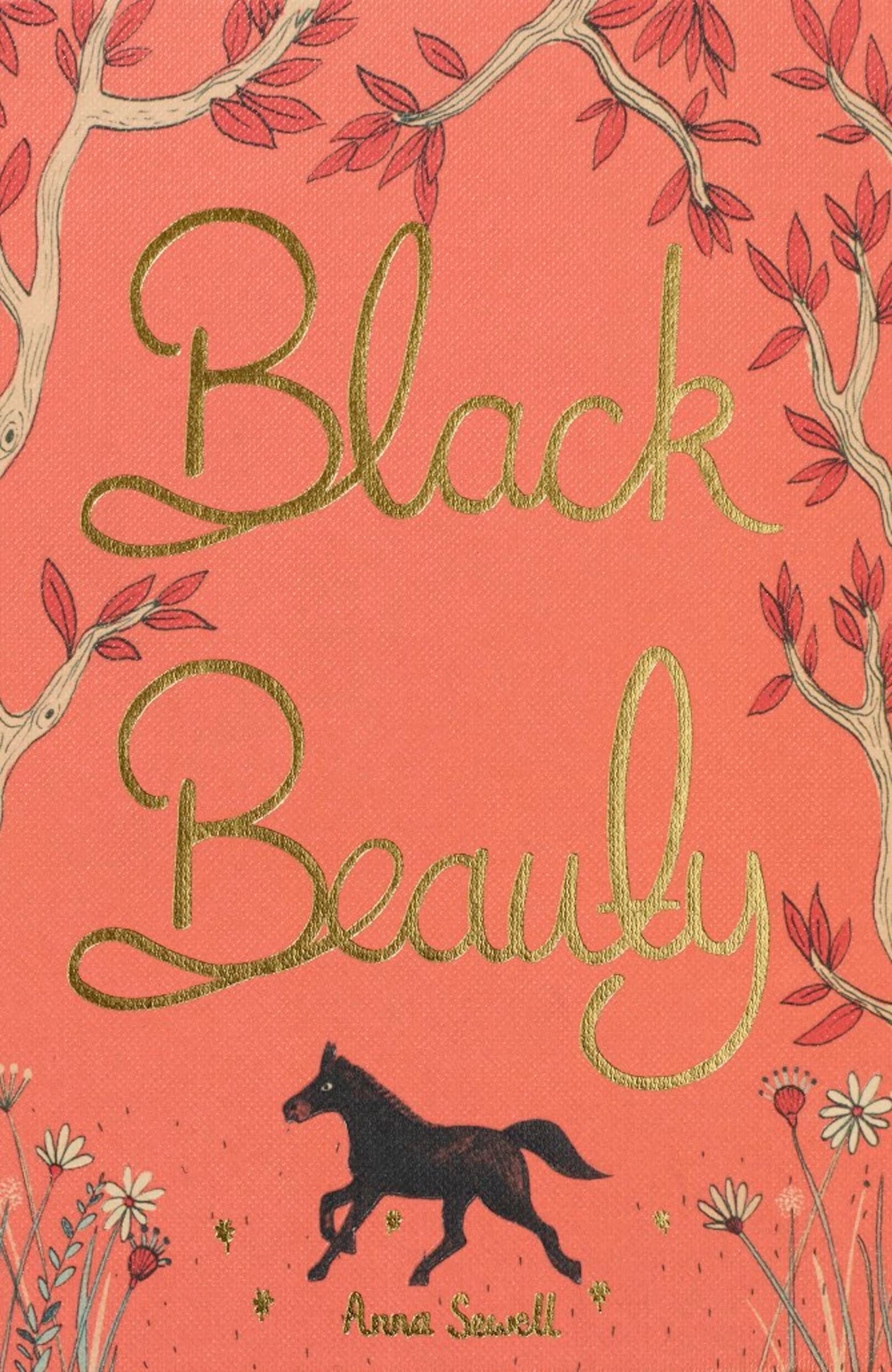 Black Beauty Wwc Hb