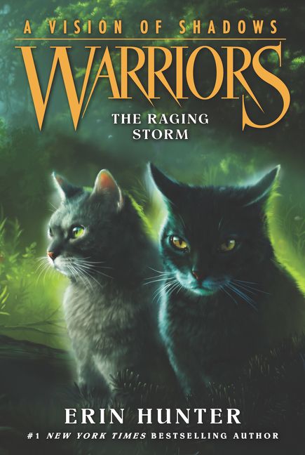 Warriors Vision Of Shadows #6 Raging Storm