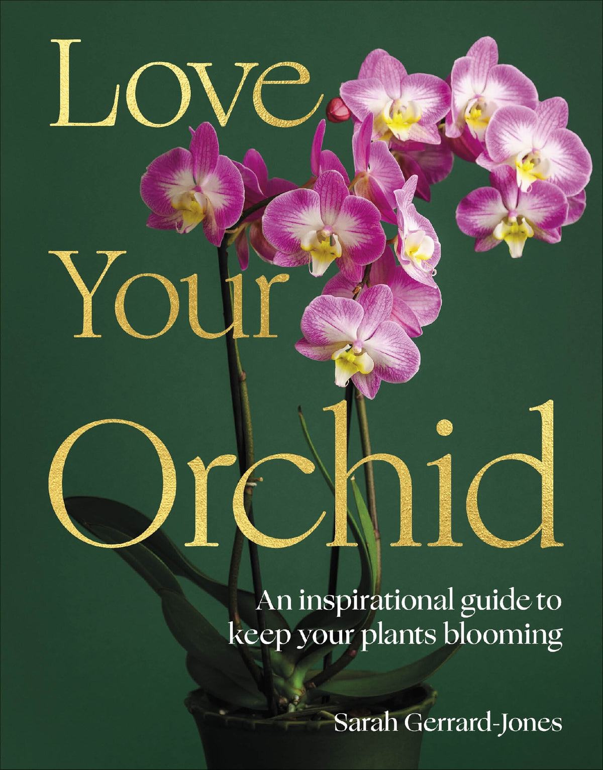Love Your Orchid
