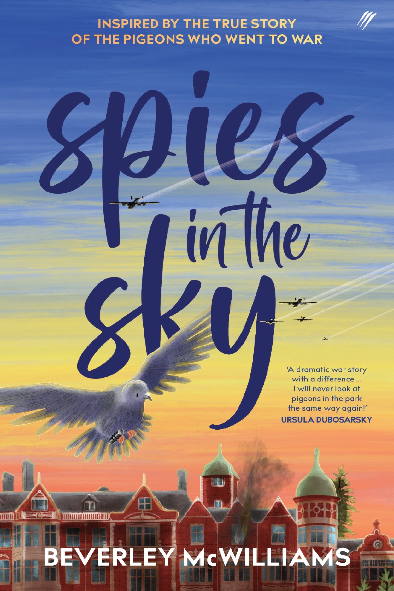 Spies In The Sky