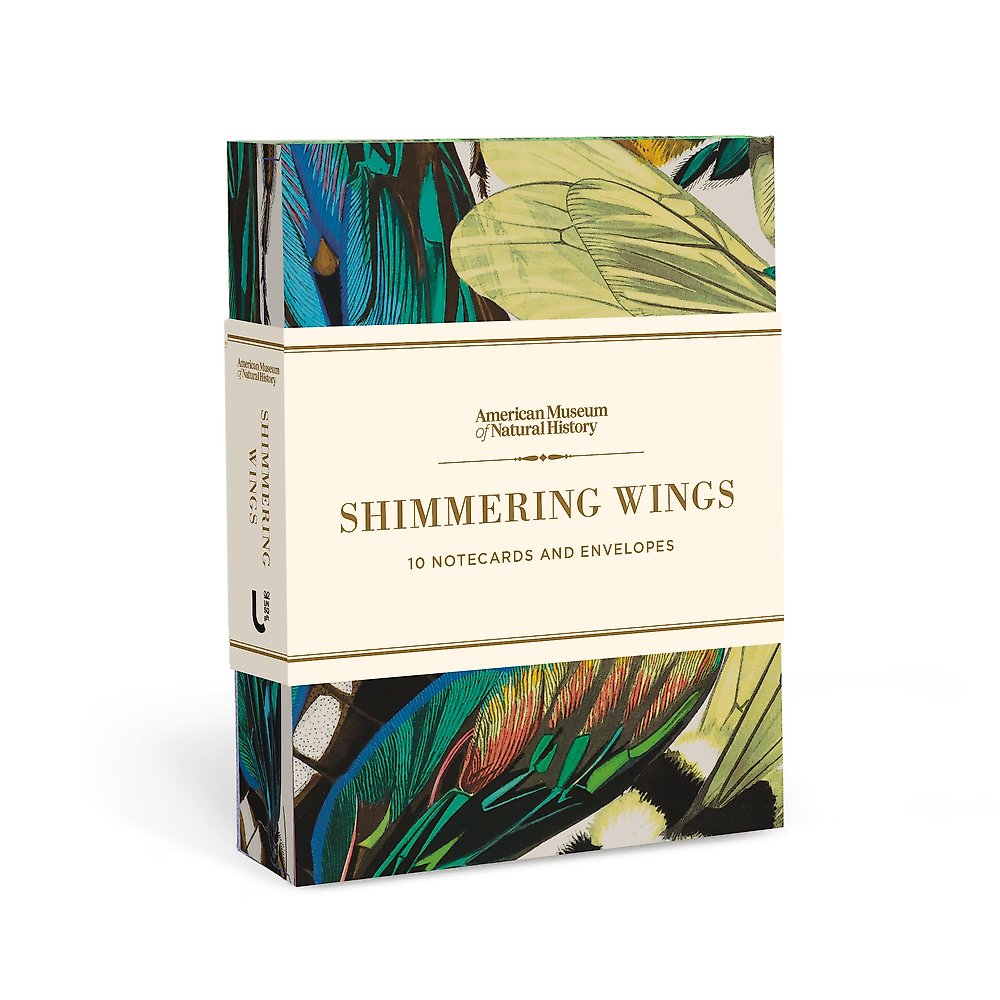Shimmering Wings Notecards And Envelopes