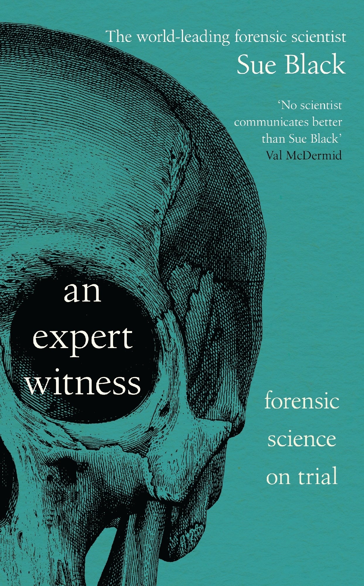 Expert Witness