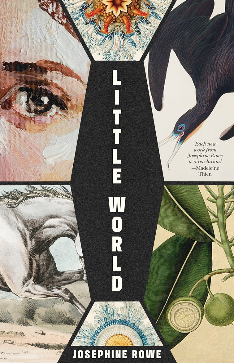 Little World