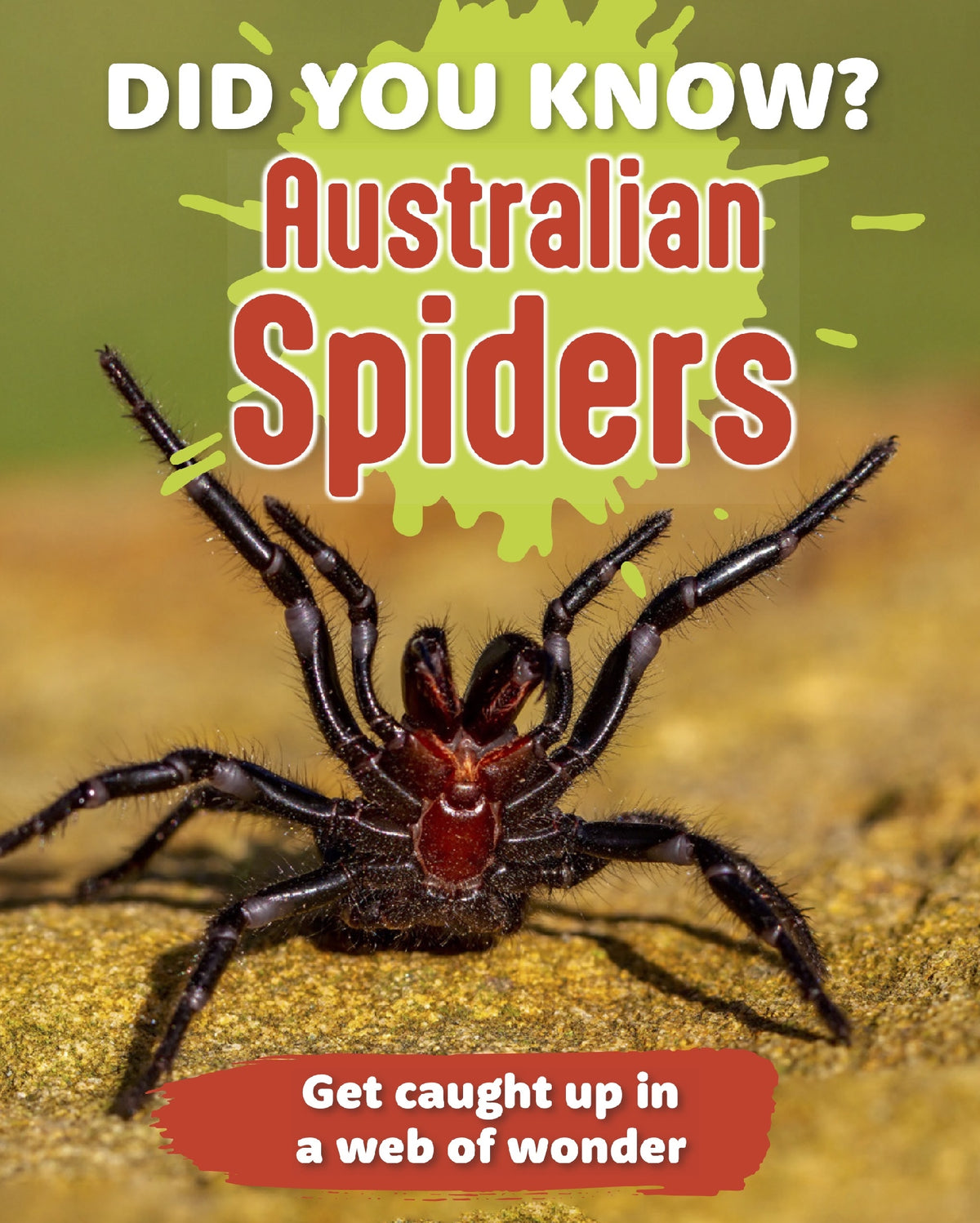 Did You Know? Australian Spiders