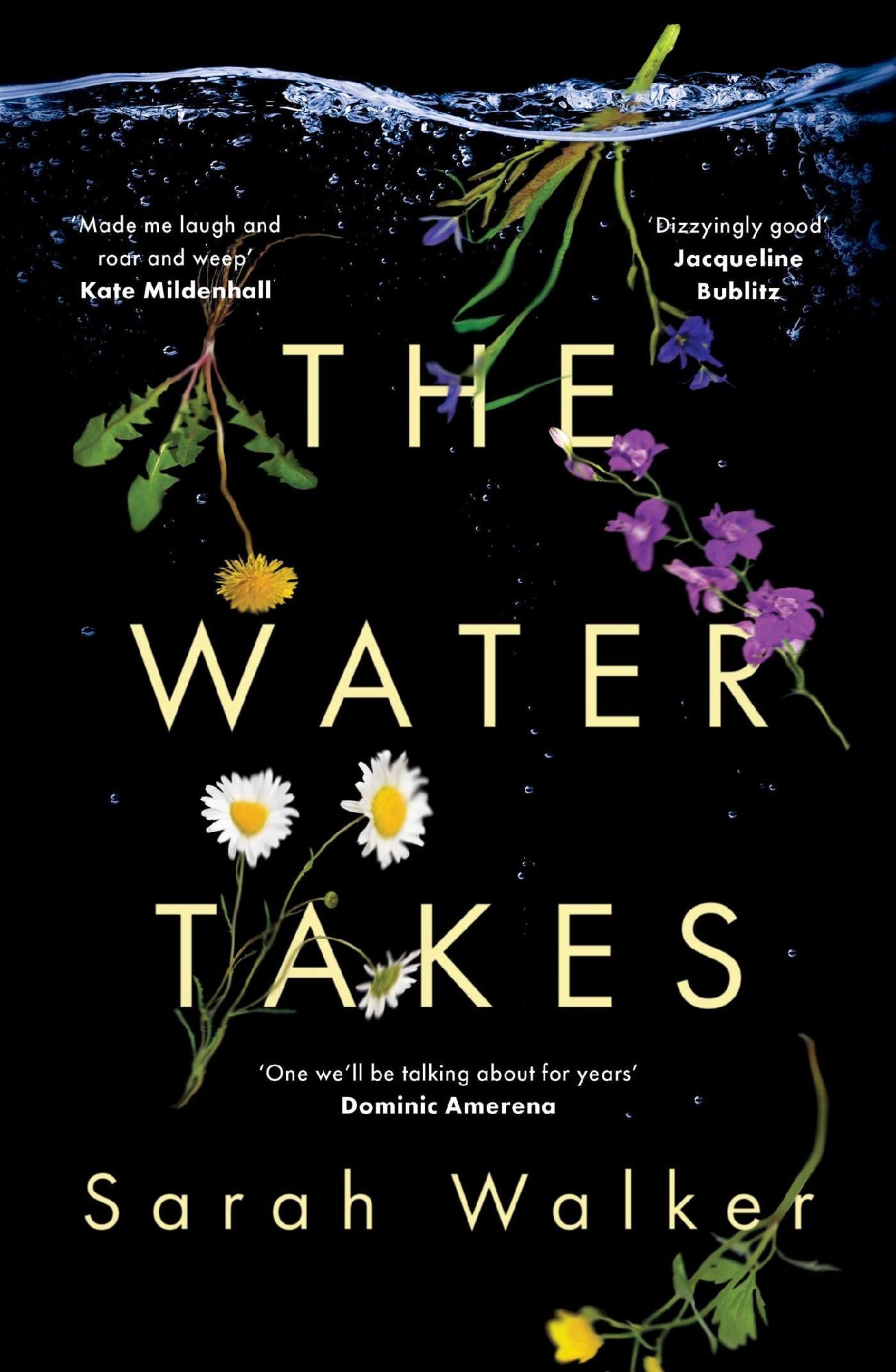 Water Takes