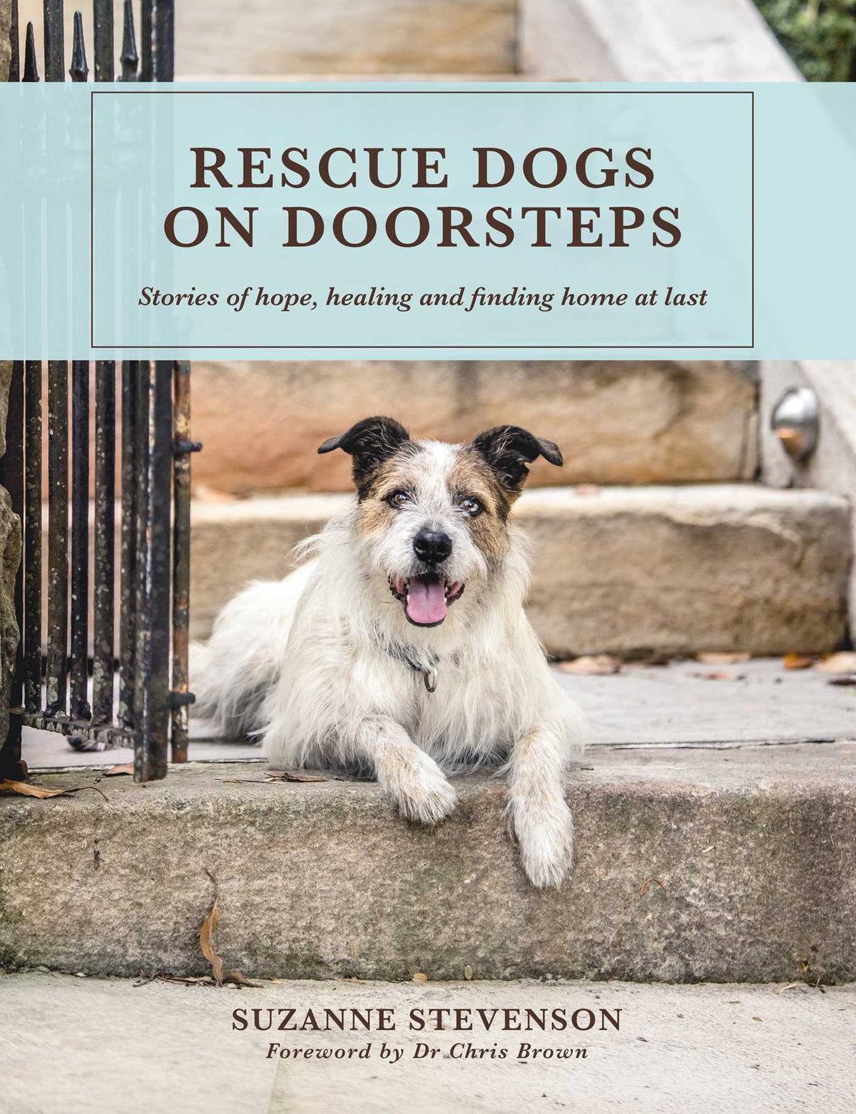 Rescue Dogs On Doorsteps