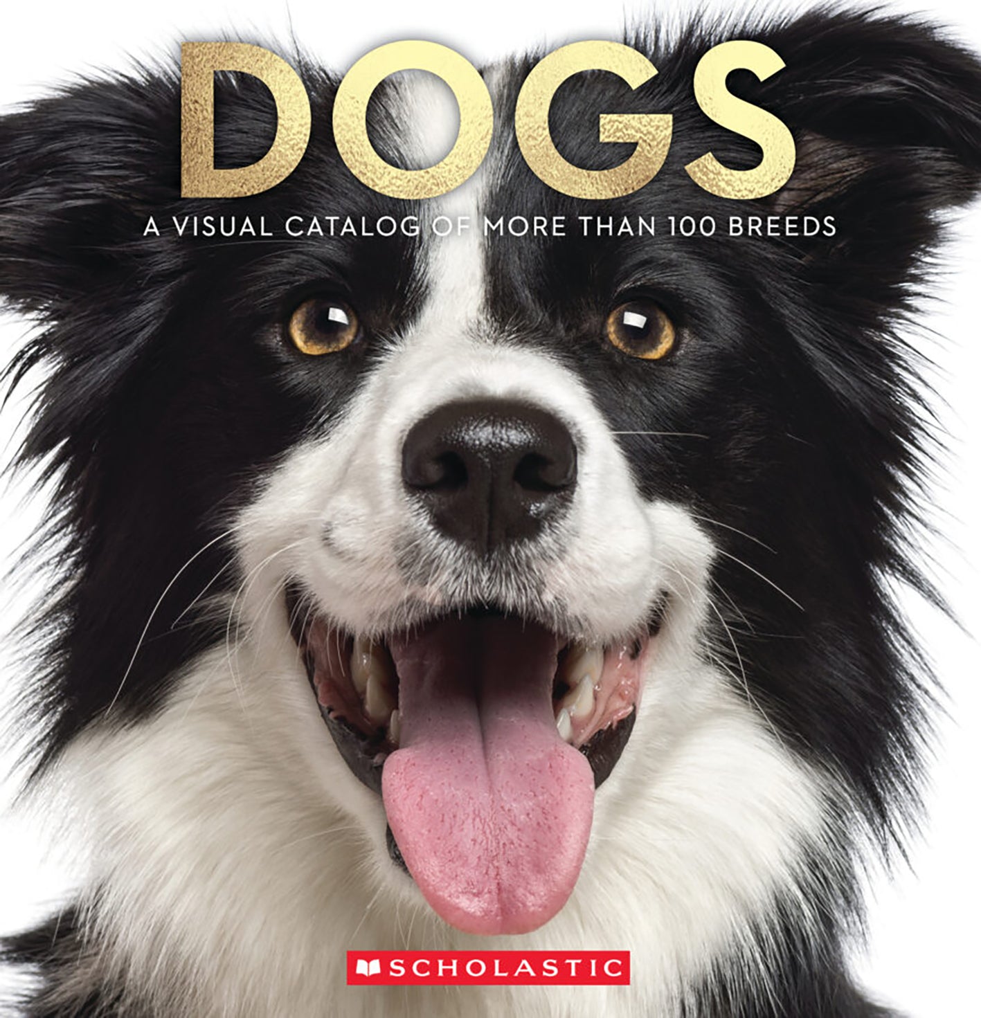 Dogs A Visual Catalog Of More Than