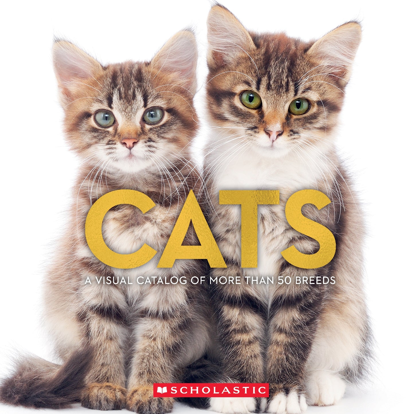 Cats A Visual Catalog Of More Than 50 Breeds