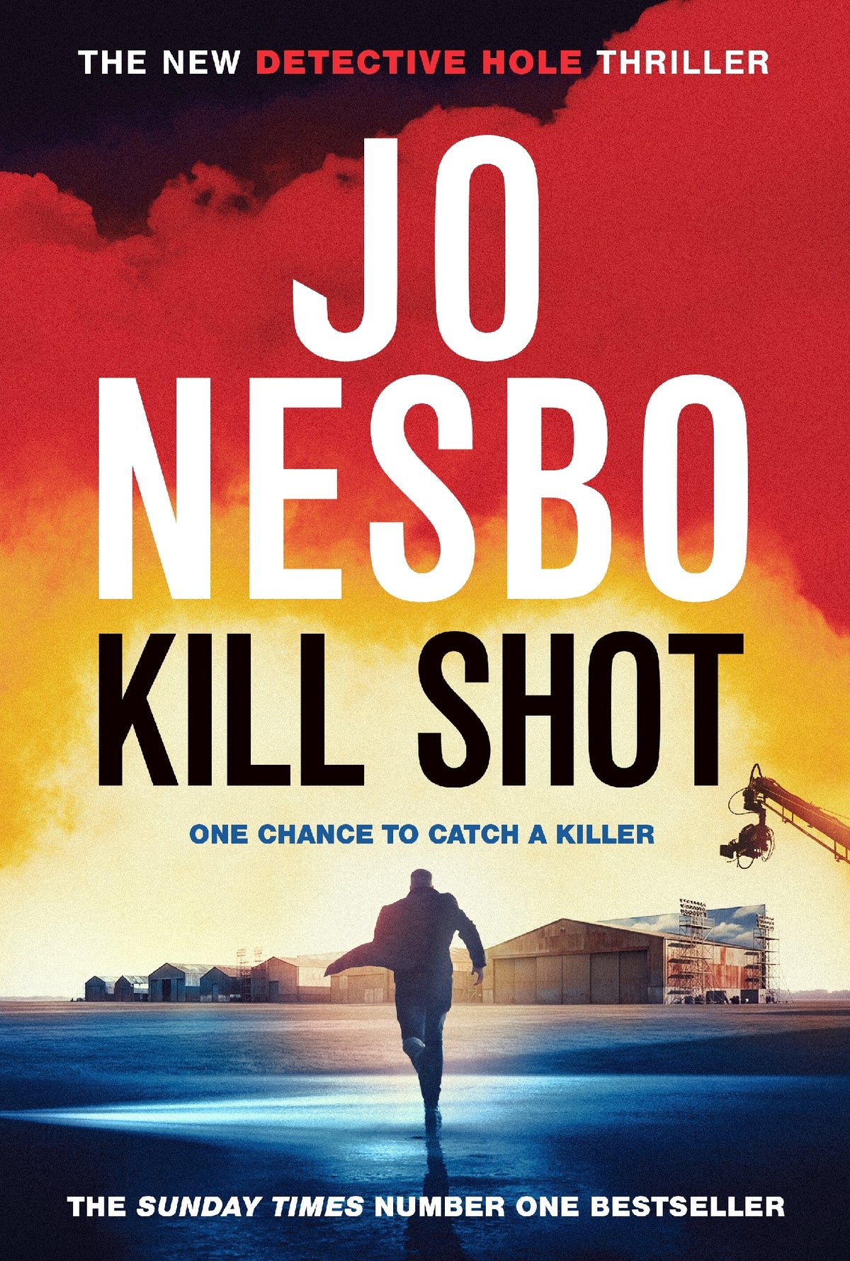 Harry Hole #14 Kill Shot