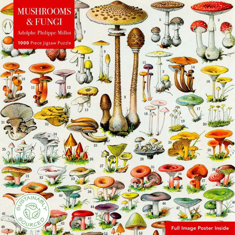 Jigsaw 1000 Mushrooms & Fungi By Adolphe Philippe Millot