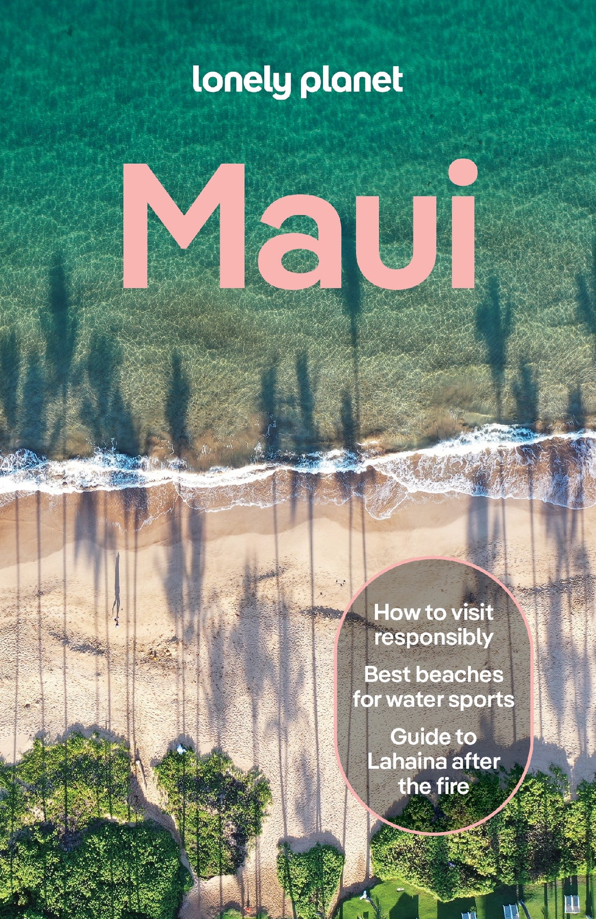 Lonely Planet Maui