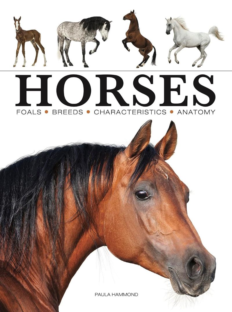 Horses Illustrated