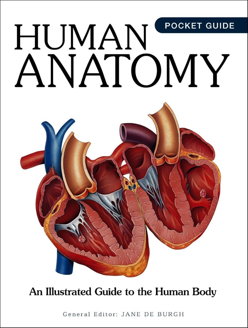 Human Anatomy: An Illustrated Guide To The Human Body