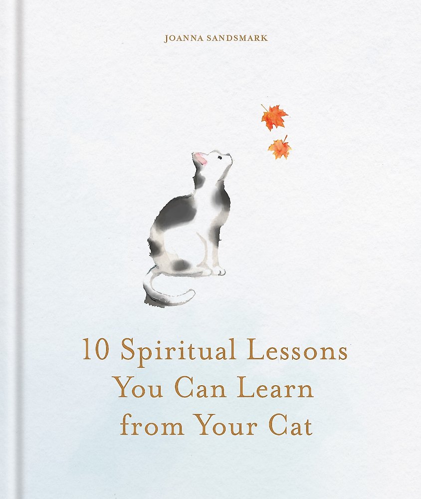 10 Spiritual Lessons You Can Learn From Your Cat