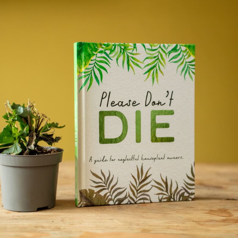 Please Don't Die: A Guide For Neglectful Houseplant Owners