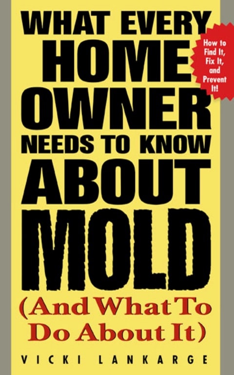 Mold What Every Homeowner Needs To