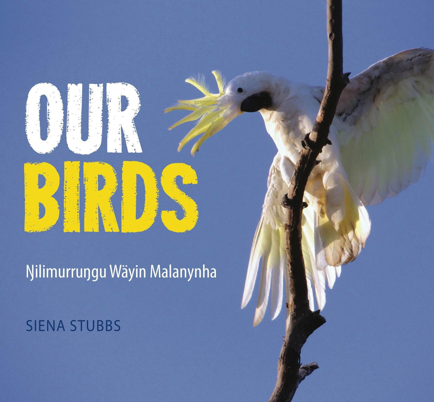 Our Birds Nilimurrungu Wayin Malana