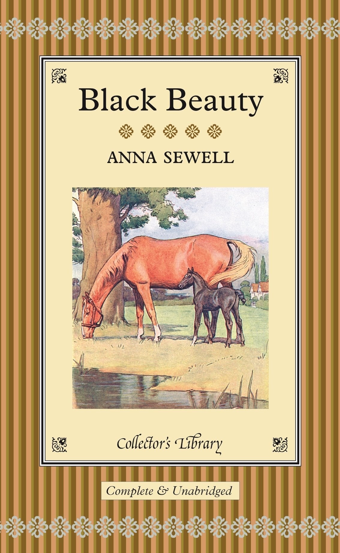 Black Beauty Cl