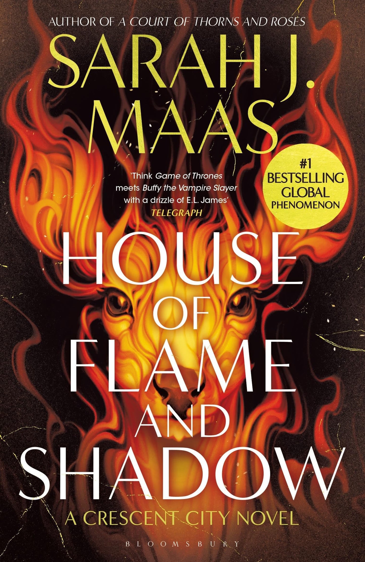 Cresent City #03 House Of Flame And