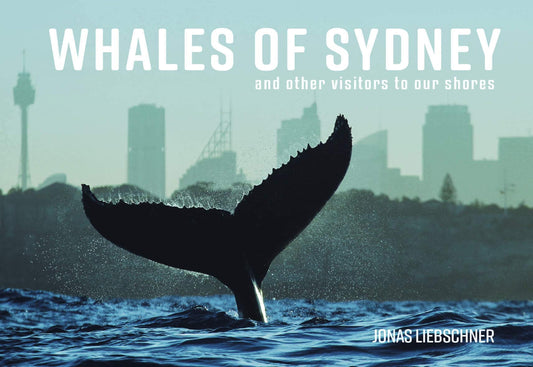 Whales Of Sydney