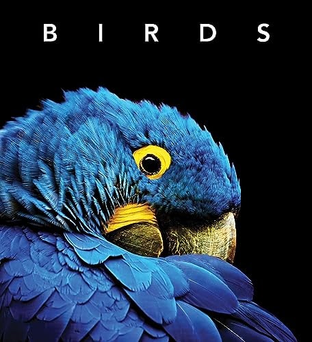 Deluxe Birds