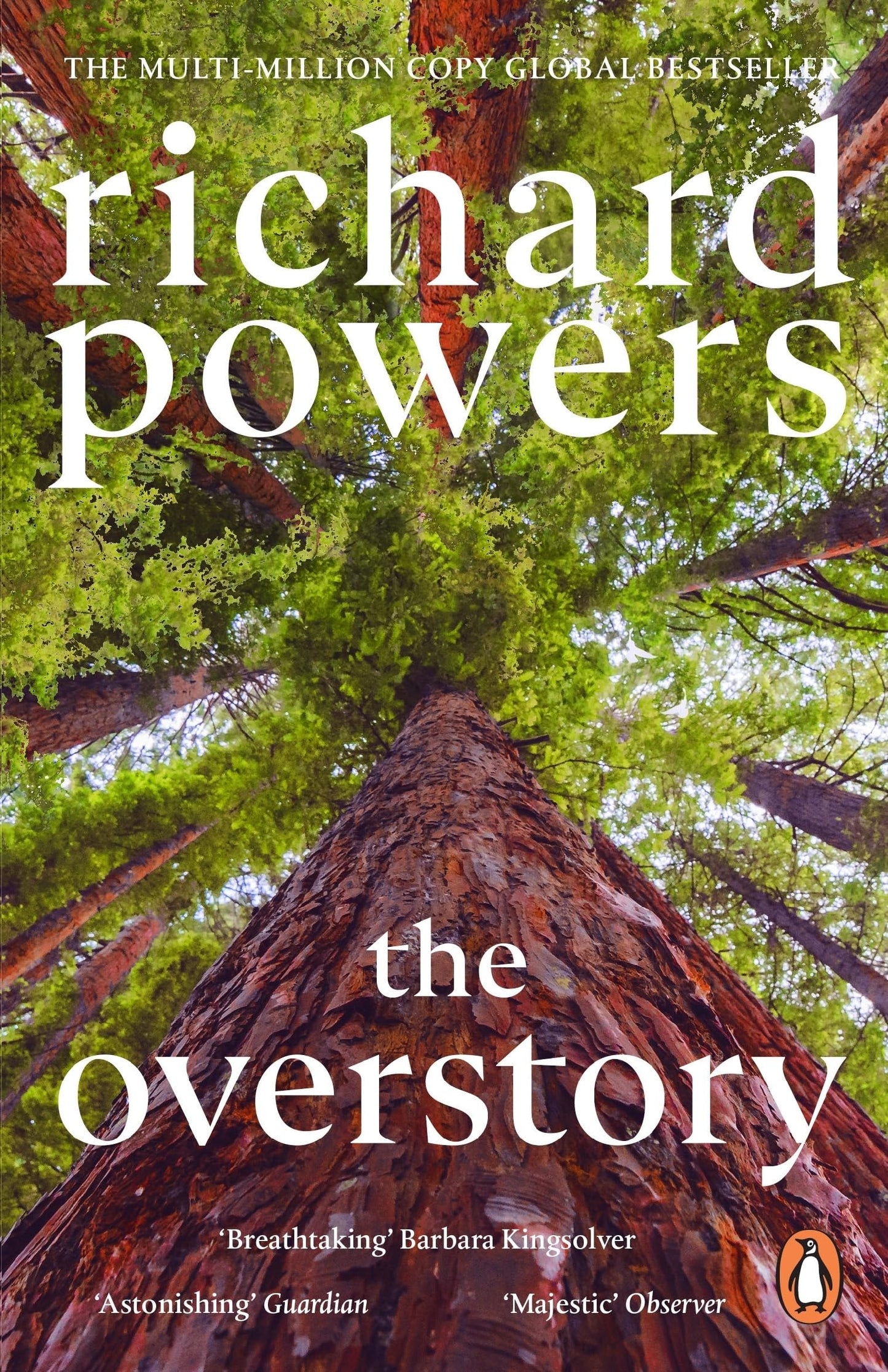 Overstory