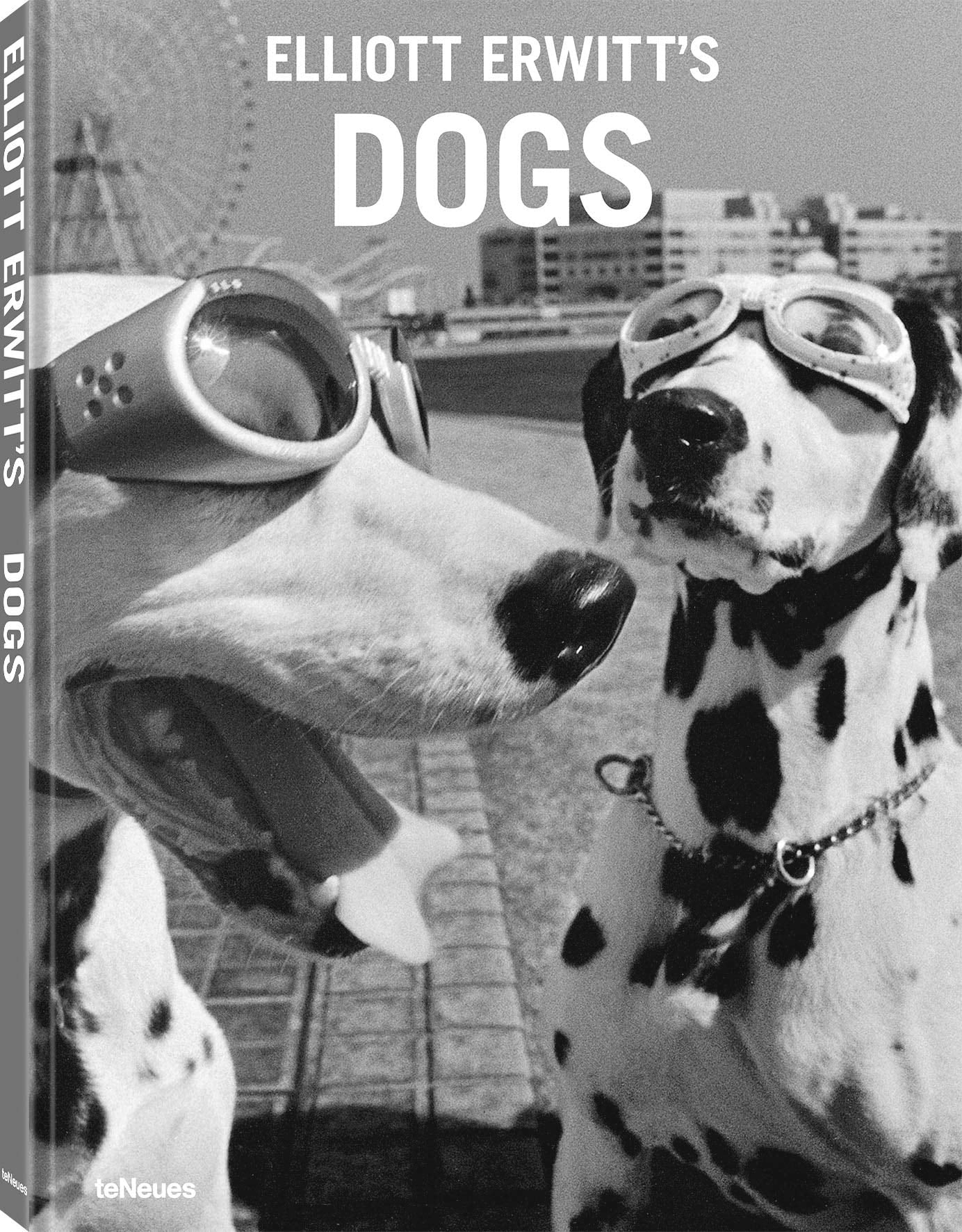 Elliott Erwitts Dogs