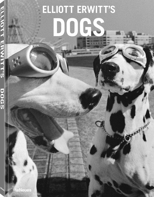 Elliott Erwitts Dogs
