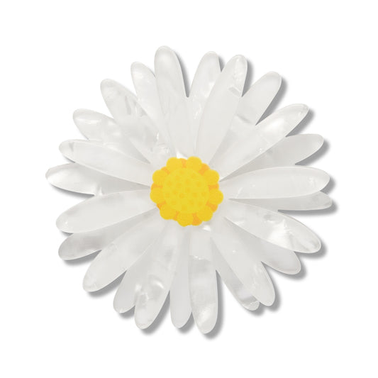 Erstwilder - Simplified Mini Brooch Cut-leaf Daisy