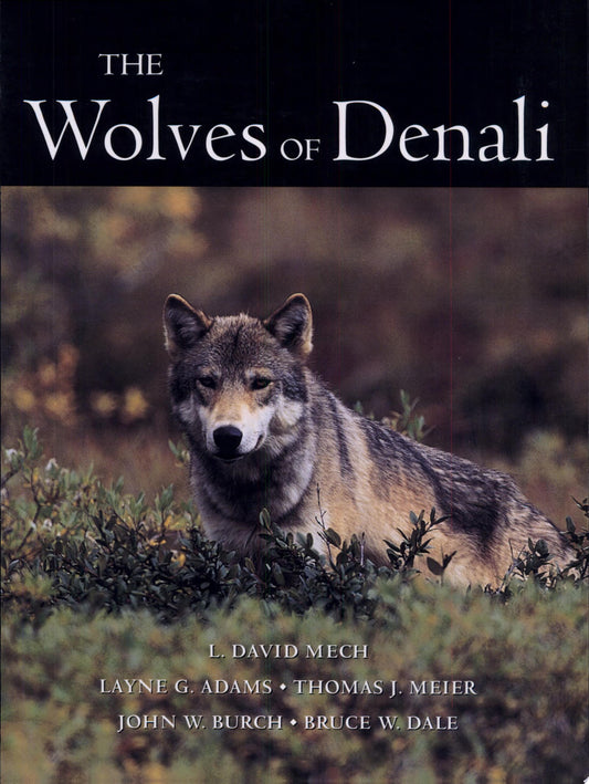 Wolves Of Denali