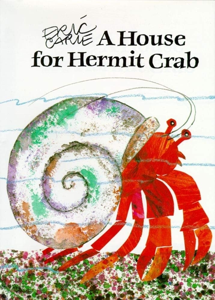 House For Hermit Crab