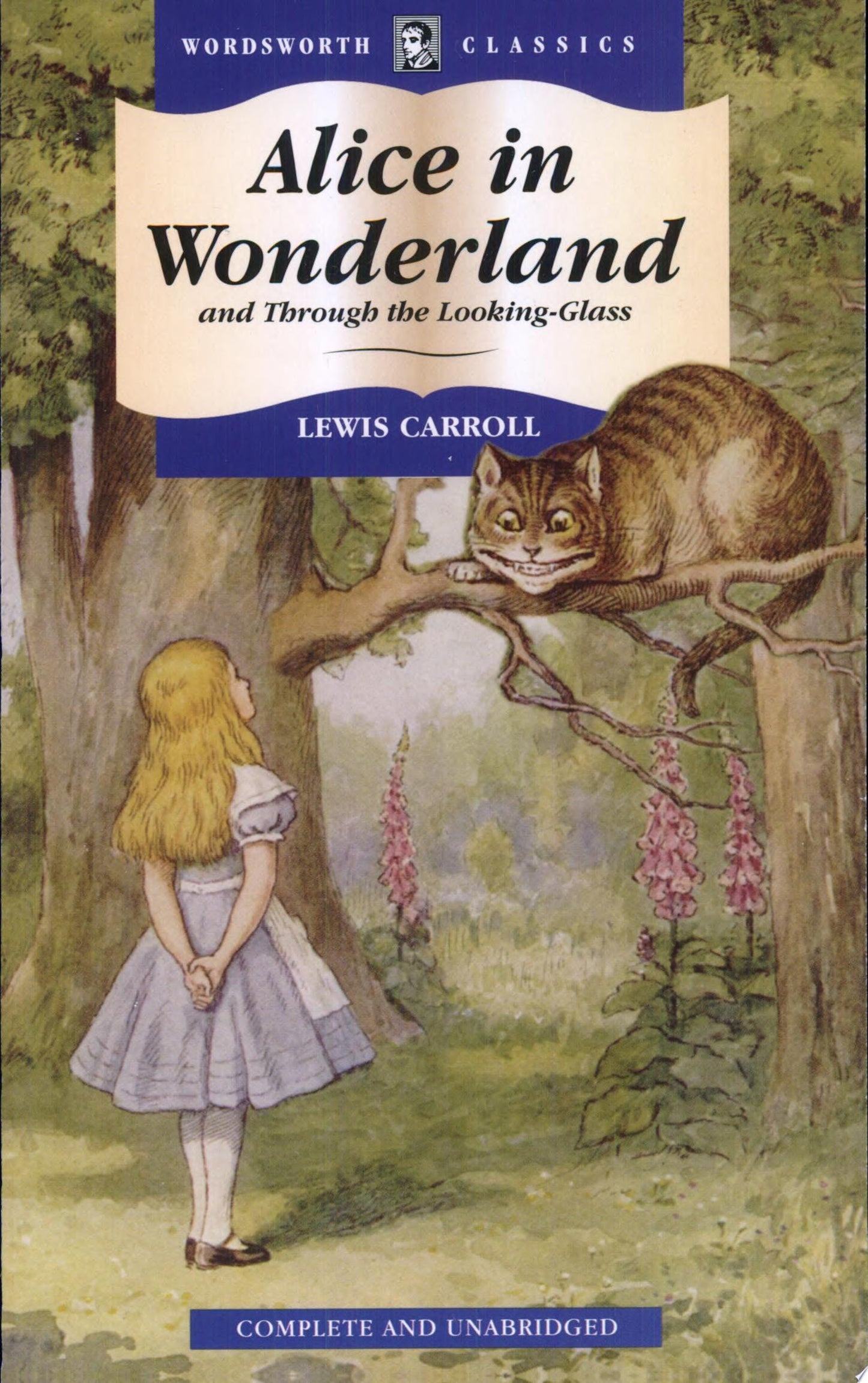 Alice In Wonderland And Through Wwc