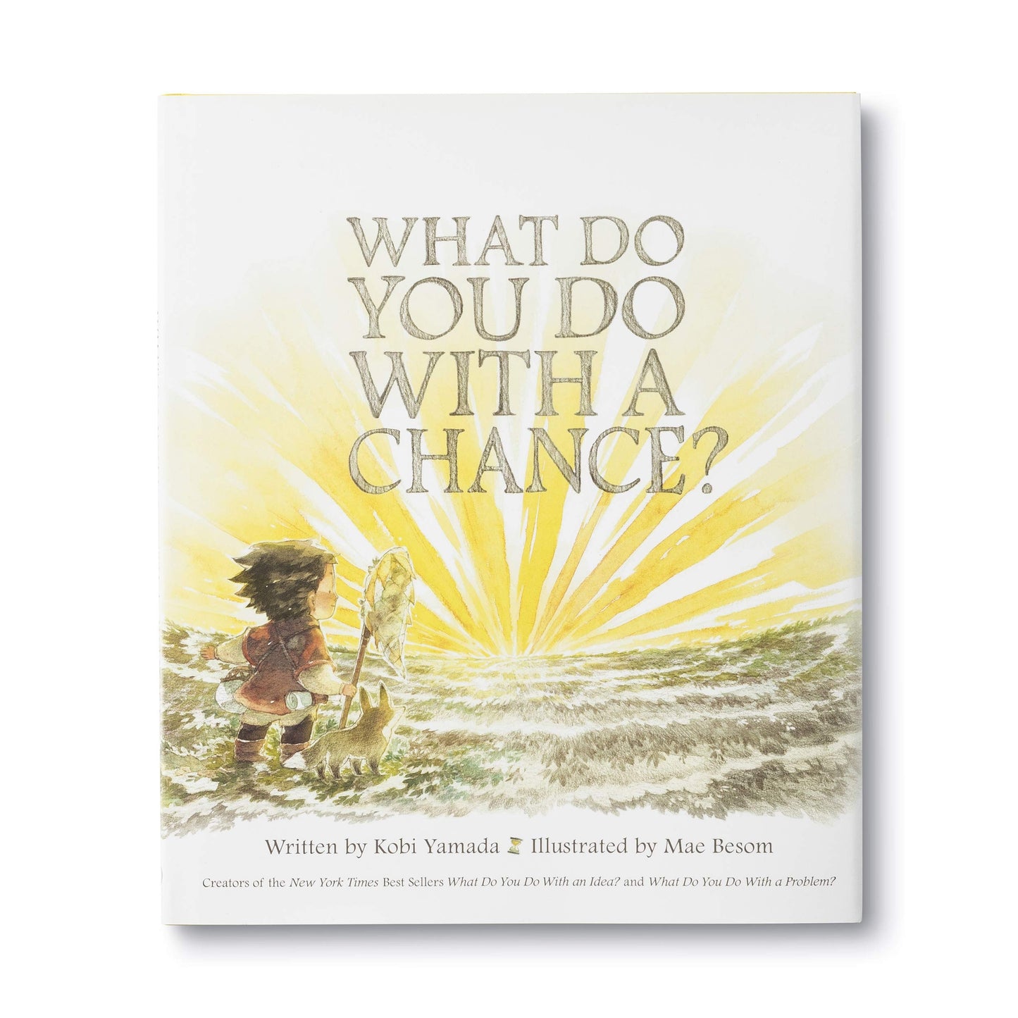 What To Do With A Chance