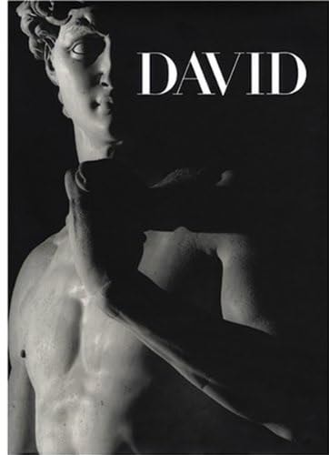 Michelangelo's David