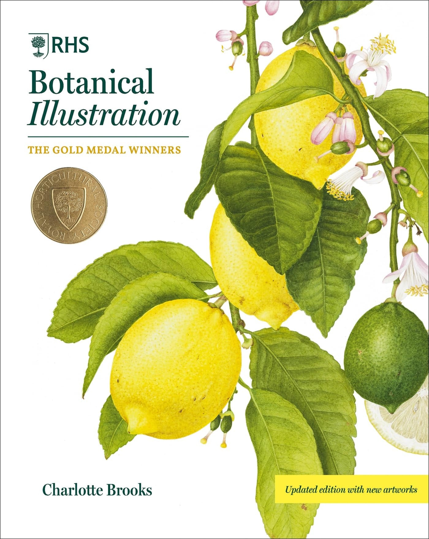 Rhs Botanical Illustration
