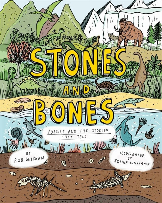 Stones And Bones Fossils And The St