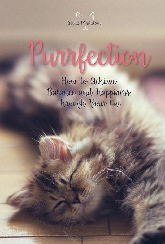 Purrfection How To Achieve Balance