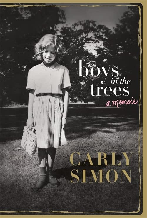 Boys In Trees A Memoir