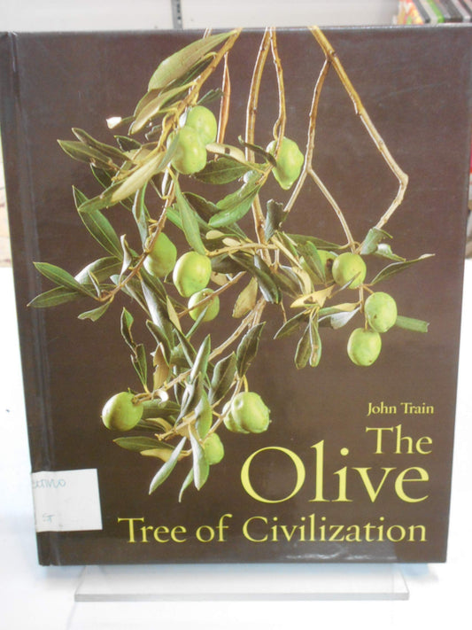 Olive Tree Of Civilization