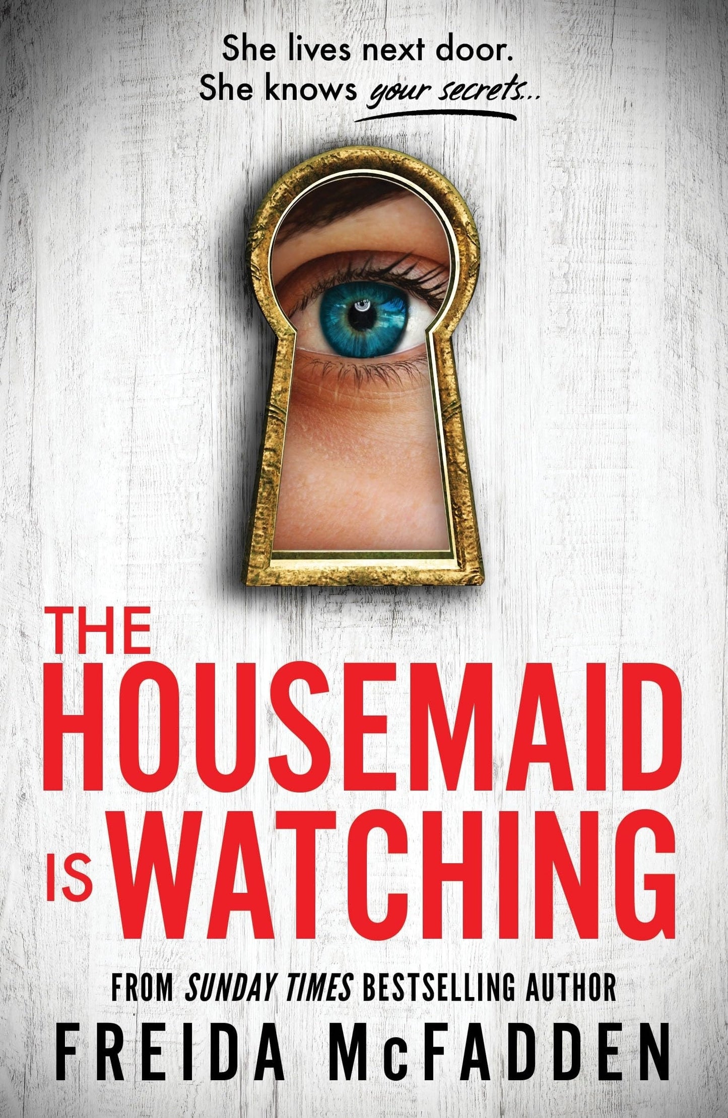 Housemaid #3 Housemaid Is Watching
