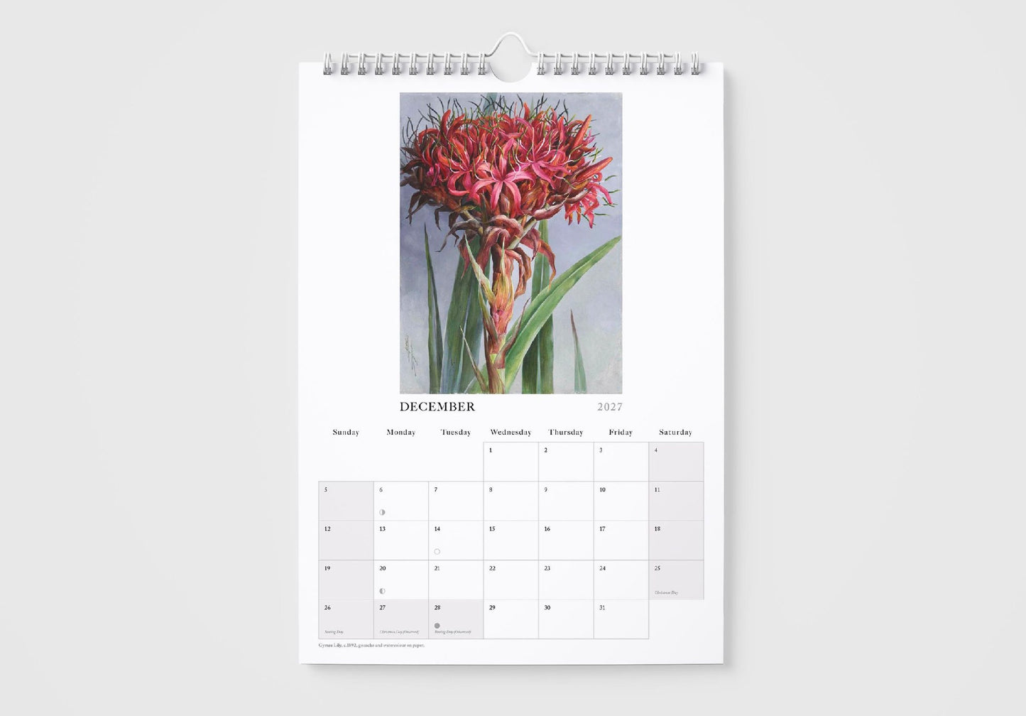 2027 Calendar Ellis Rowan