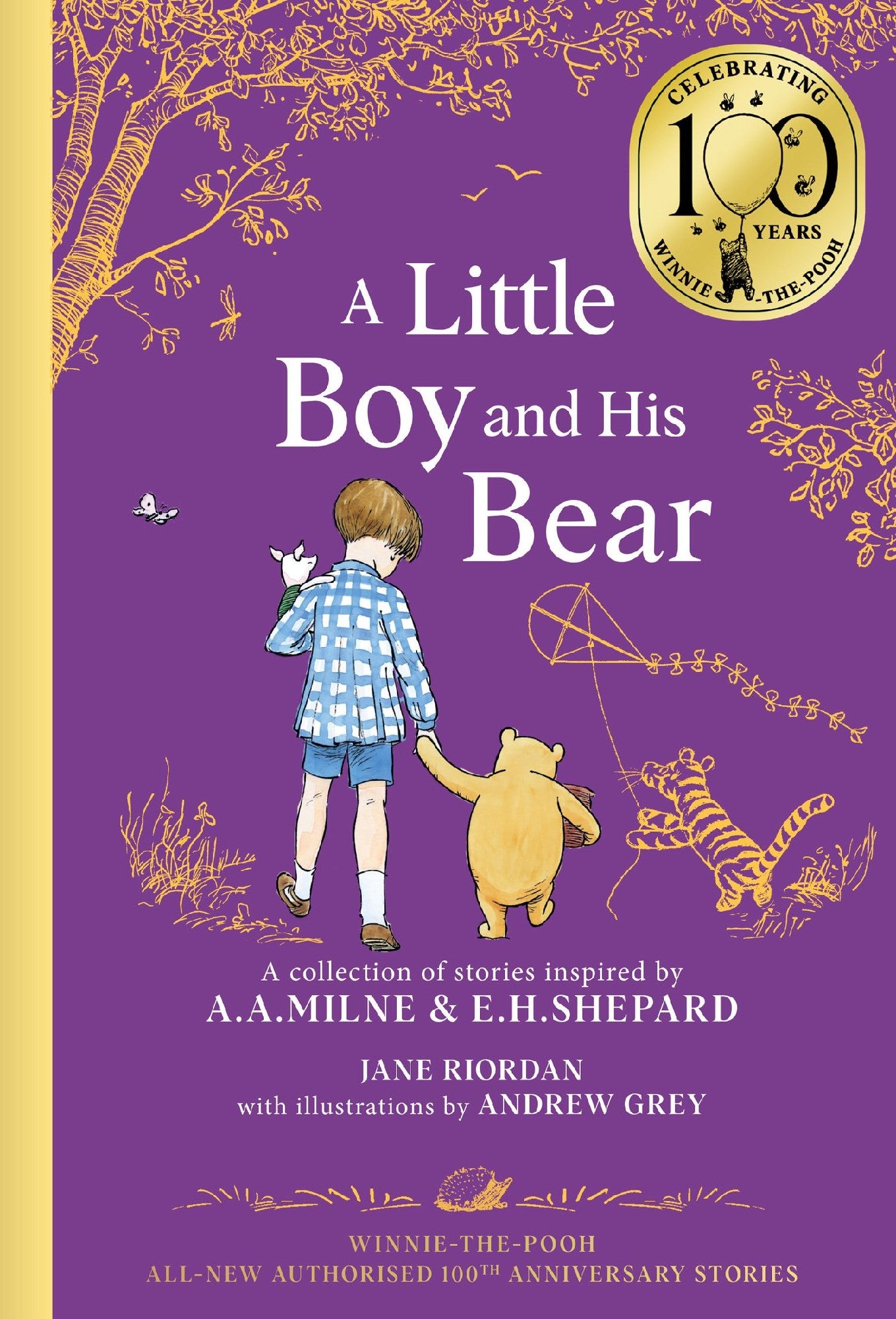 Winnie-the-pooh Little Boy & His Bear