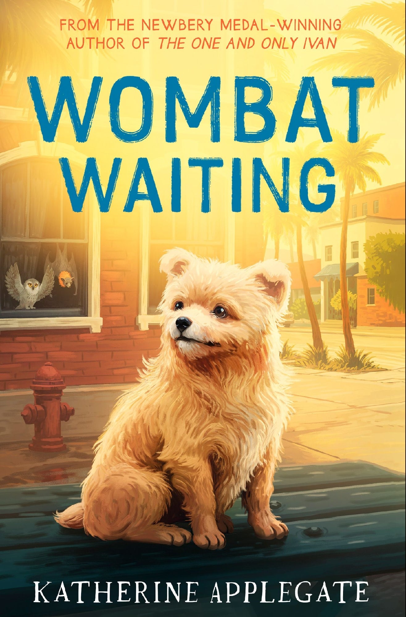 Wombat Waiting