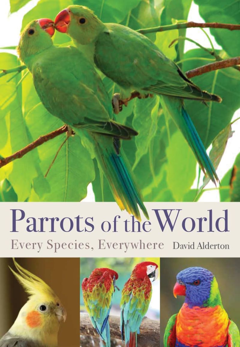 Parrots Of The World Illustrated Guide To Every Species